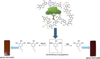  Thermosetpolymerer – En revolution för hållbarhet i avancerade tillämpningar!