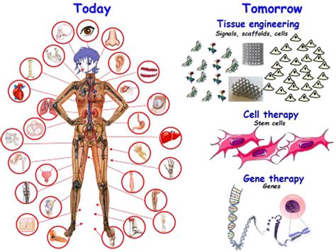  Ionomerharts – En Revolution I Biomaterialtekniken?