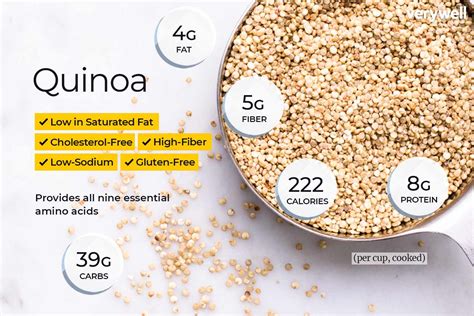  Quinoa Protein: En Häpnadsväckande Käll till Näring för Framtidens Livsmedel!